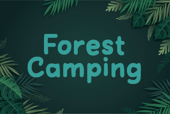 Forest Camping Font for Web Design